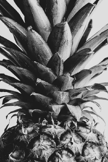 Pineapple Close Up 02