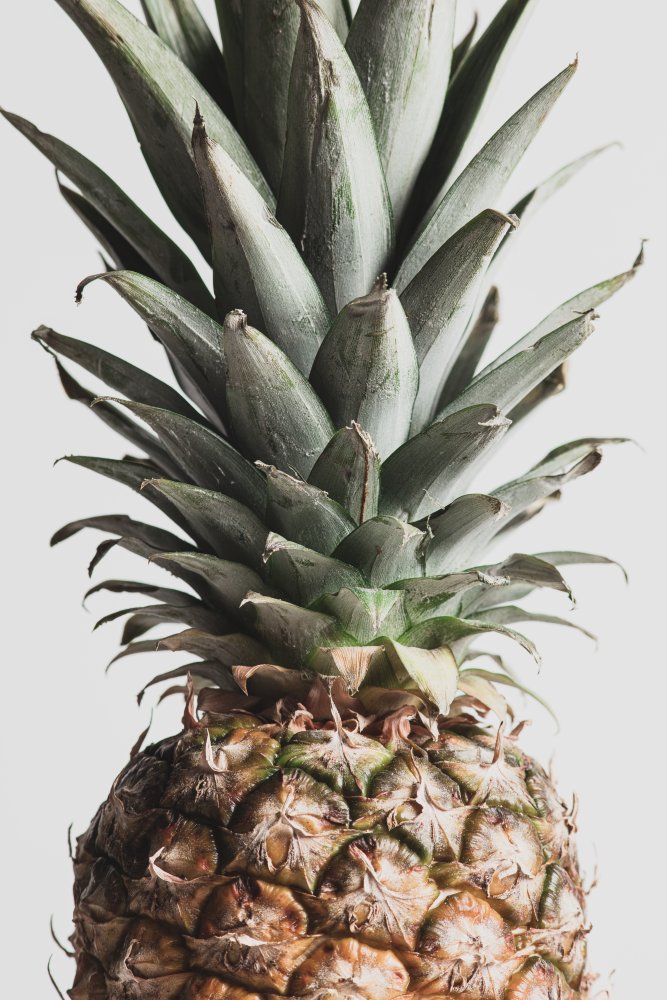 Pineapple Natural 03 od Pictufy Studio III