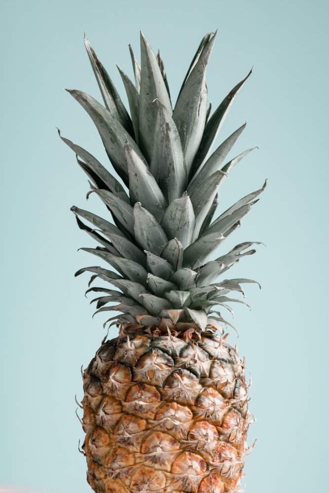 Pineapple Blue 01 od Pictufy Studio III