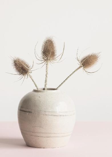 Dried flowers in vase