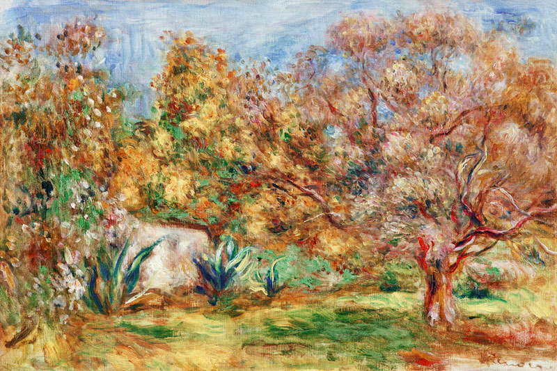 Olive garden od Pierre-Auguste Renoir