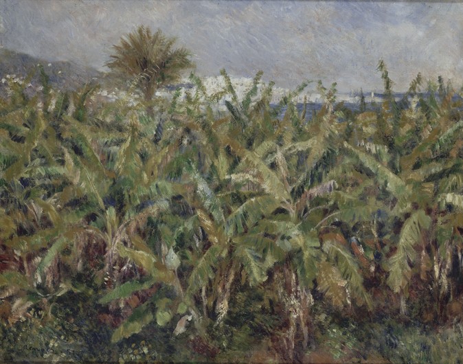 Field of Banana Trees (Champ de bananiers) od Pierre-Auguste Renoir