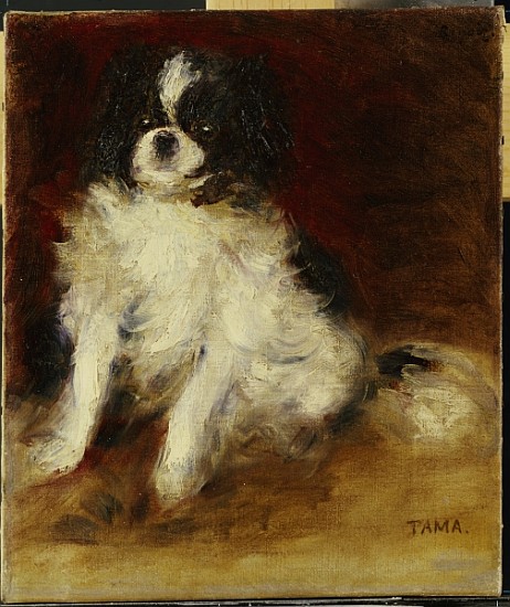 Tama od Pierre-Auguste Renoir