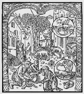 November, killing the pig and harvesting acorns, Scorpio, illustration from the ''Almanach des Berge