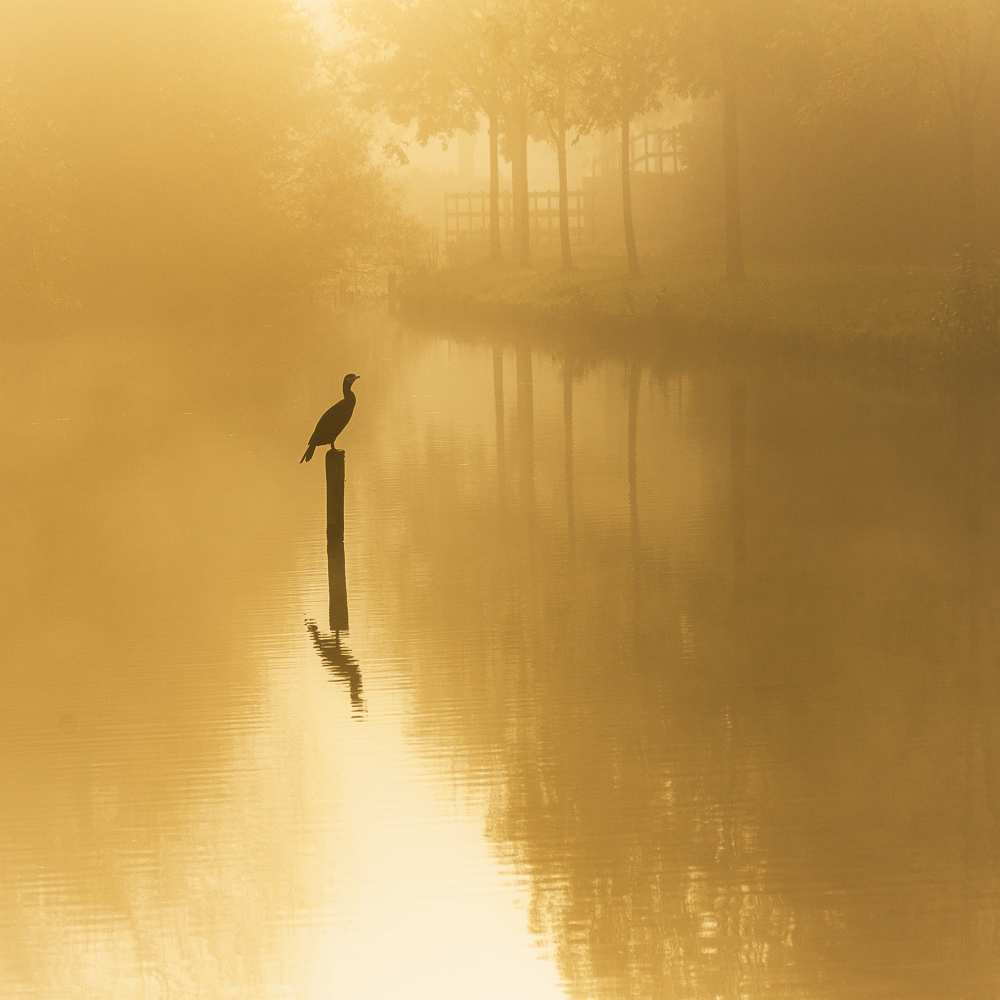  waiting for the sun .......... od Piet Haaksma
