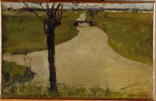 Irrigation Ditch with Young Pollarded Willow od Piet Mondrian