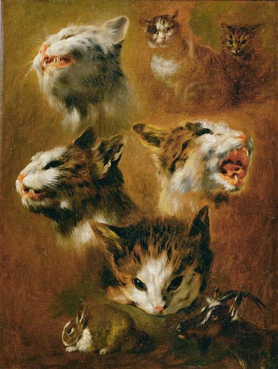 Tierstudien: Katzen, Kaninchen und Ziege od Pieter Boel