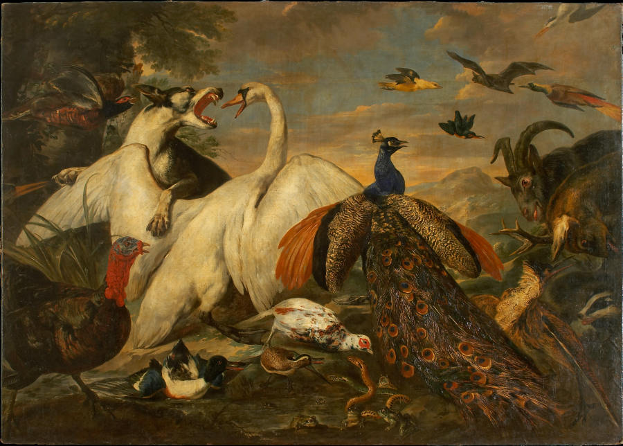 Fighting Animals as Allegory of the Combat between Virtue and Vice od Pieter Boel