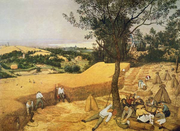Cycle of the monthly pictures, the grain harvest month (of July) od Pieter Brueghel d. Ä.