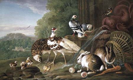 Birds and Rabbits od Pieter Casteels