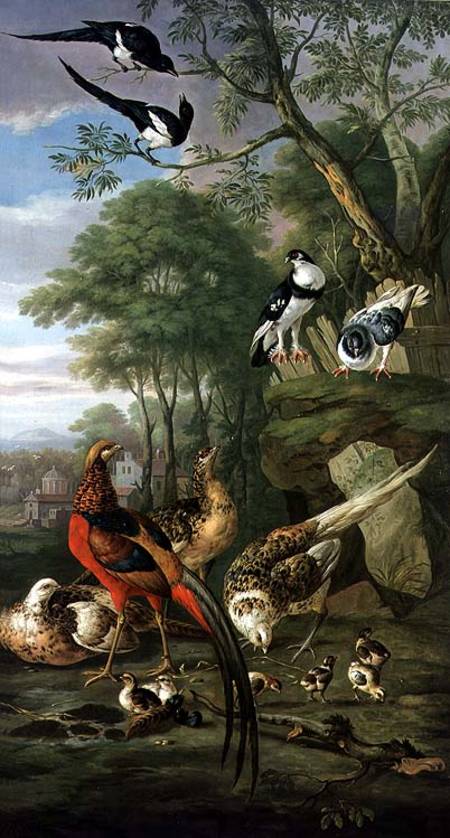 Cock pheasant, hen pheasant and chicks and other birds in a classical landscape od Pieter Casteels