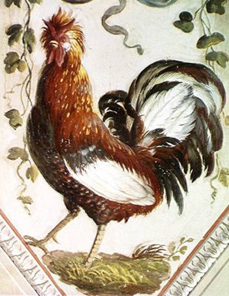 Detail of a cockerel od Pietro Rotati