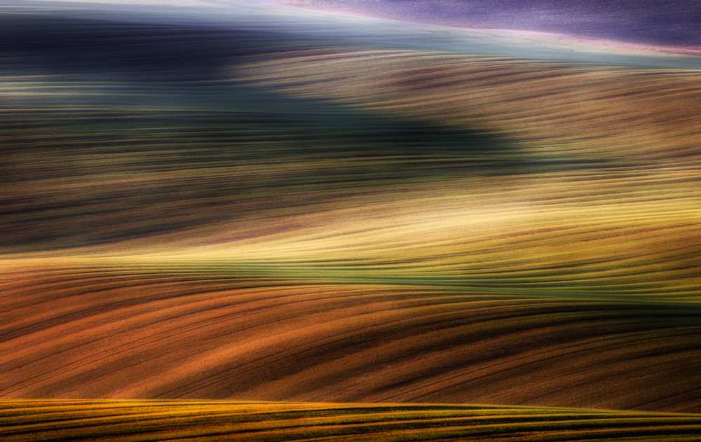 autumn fields od Piotr Krol (Bax)