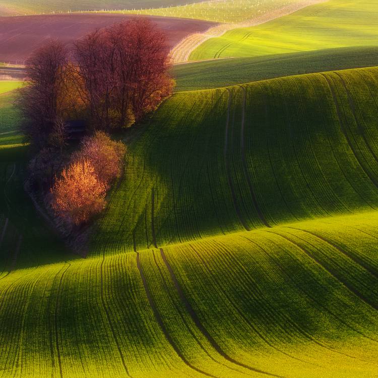 Green fields od Piotr Krol (Bax)