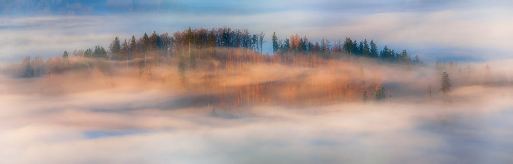 in the morning mists od Piotr Krol (Bax)