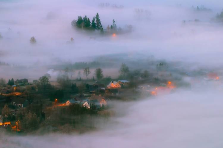 In the Morning Fog od Piotr Krol (Bax)