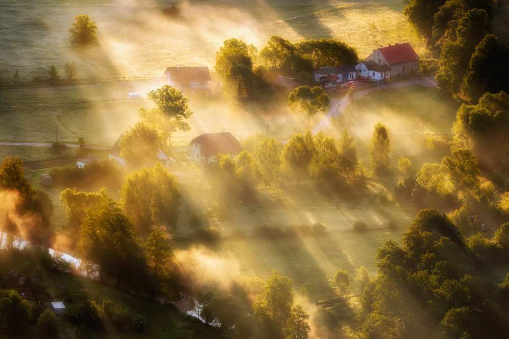 in the morning sun od Piotr Krol (Bax)