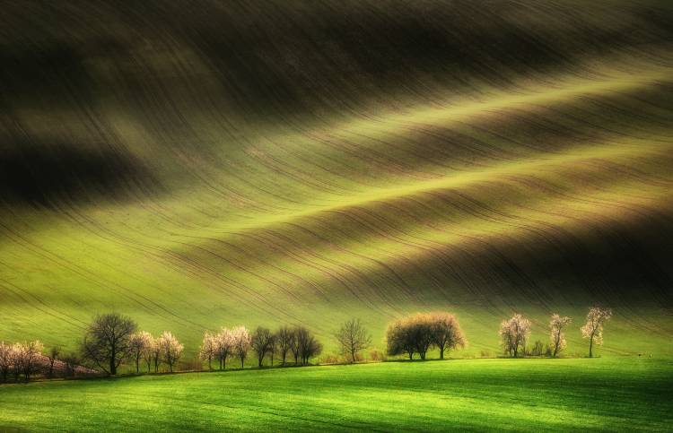 Moravian Fields od Piotr Krol (Bax)