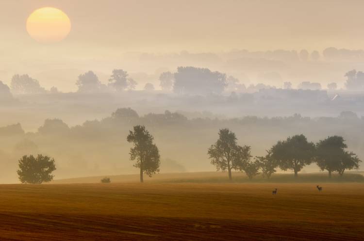 ranní pohled od Piotr Krol (Bax)