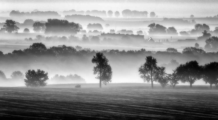 morning view od Piotr Krol (Bax)