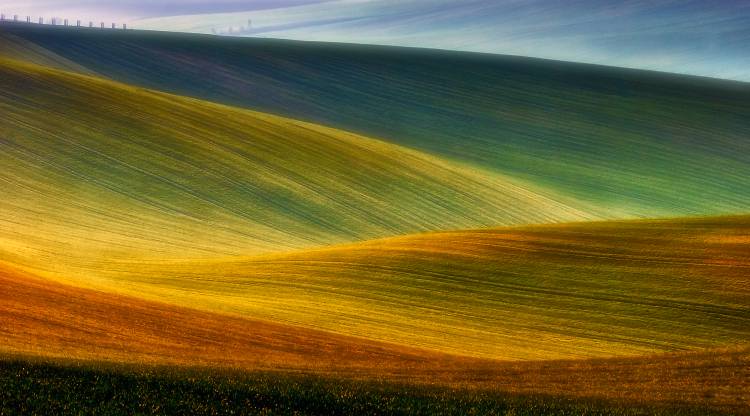 Spring fields od Piotr Krol (Bax)