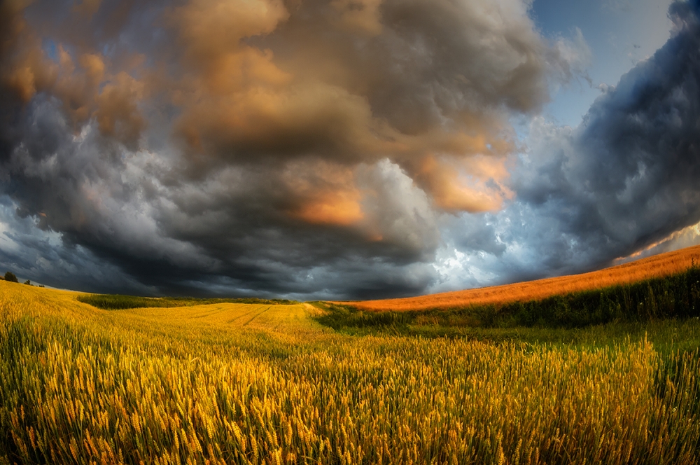 fields of storm od Piotr Krol (Bax)
