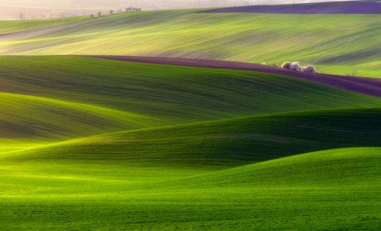 Zelená krajina od Piotr Krol (Bax)