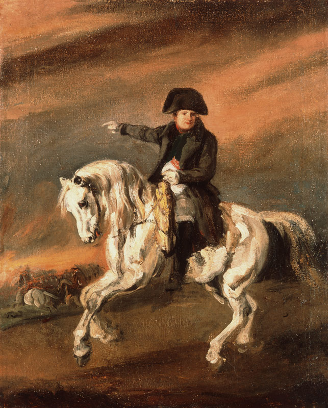Napoleon to horse od Piotr Michalowski