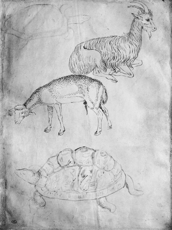 Two tortoises, goat and sheep, from the The Vallardi Album od Pisanello