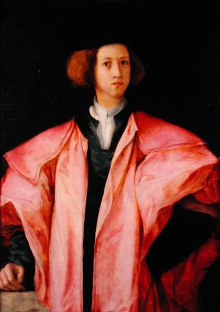 Portrait of a Young Man od Pontormo,Jacopo Carucci da