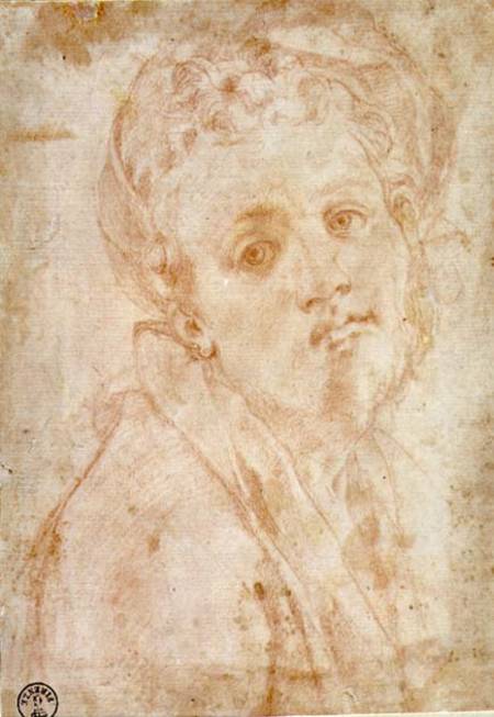 Self Portrait od Pontormo,Jacopo Carucci da