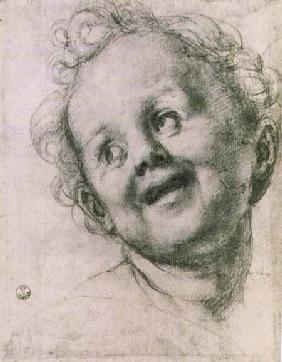 Study of a putto for the 'Holy Family with Saints' (Pucci altarpiece) in the Church of San Michele V