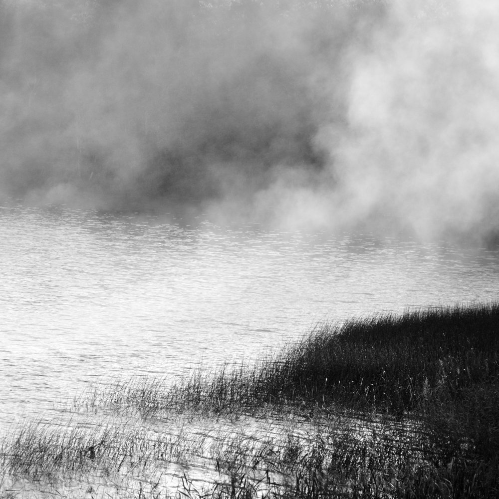 Lake in fog 2021 od Poul-Erik Riis