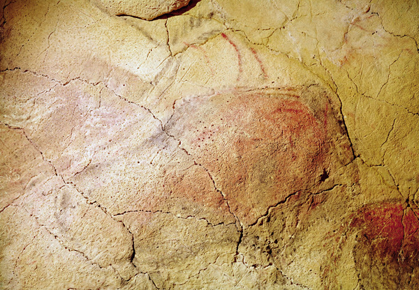 Bison, from the Caves at Altamira od Prehistoric