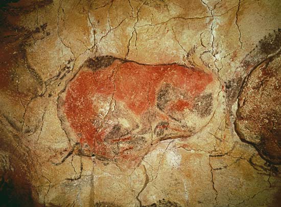 Bison from the Altamira Caves, Upper Paleolithic od Prehistoric