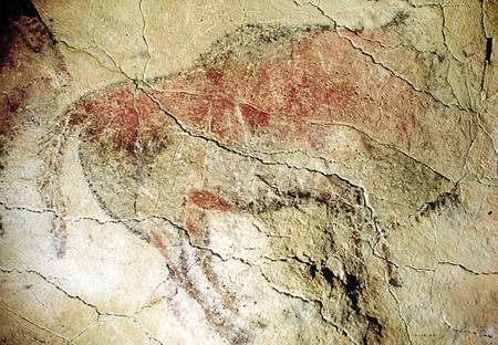 Bison from the Caves at Altamira od Prehistoric