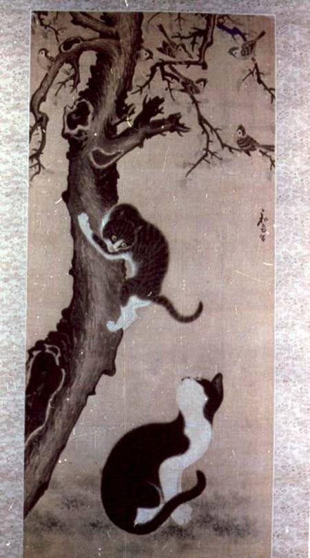 Cats od Pyon  Sang-Byok