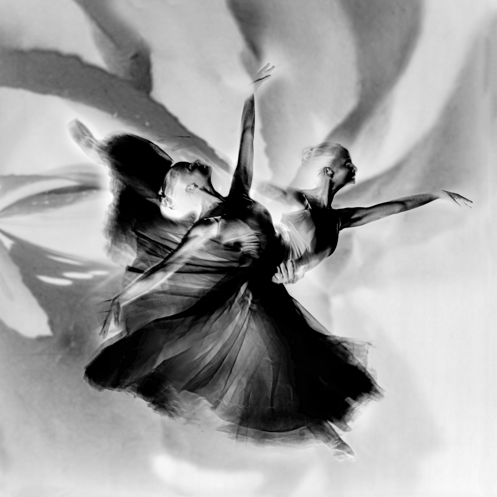 Dance in black and white od Rachel Pansky