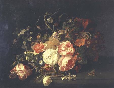Flowers and Insects od Rachel Ruysch