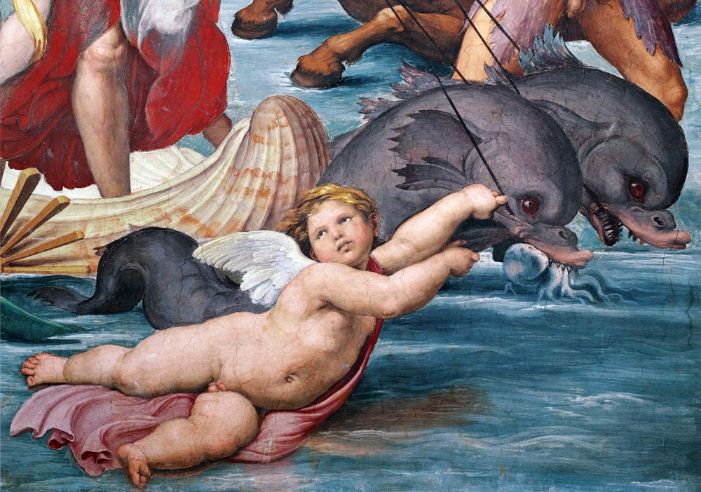 Galatea, detail of putto and dolphins od (Raffael) Raffaello Santi