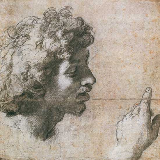 Studies of a Man's Head and Hand od (Raffael) Raffaello Santi