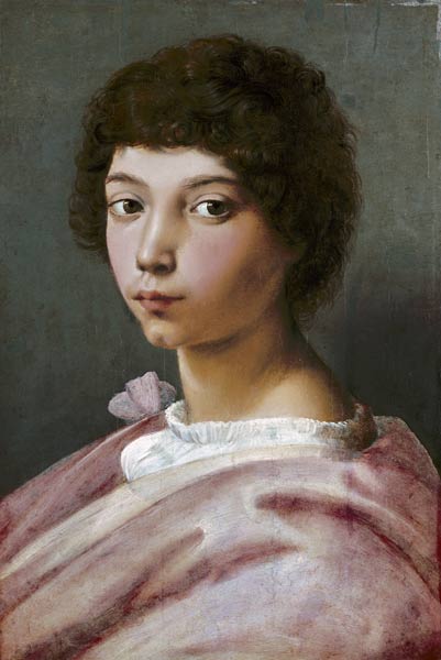 Portrait of a young man od (Raffael) Raffaello Santi