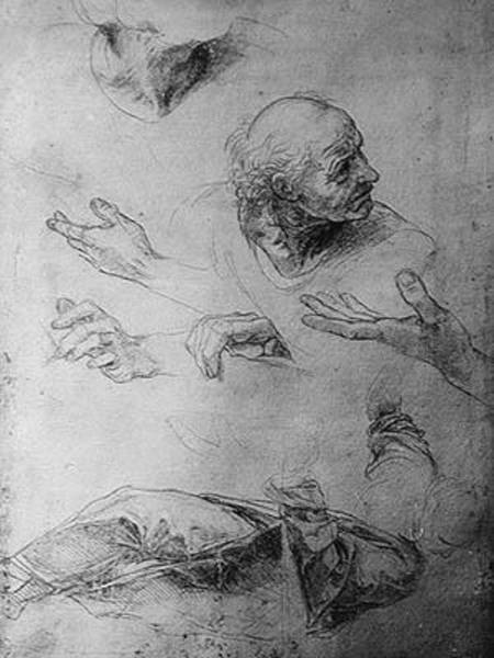 Studies for the Figure of Bramante (1444-1515) od (Raffael) Raffaello Santi