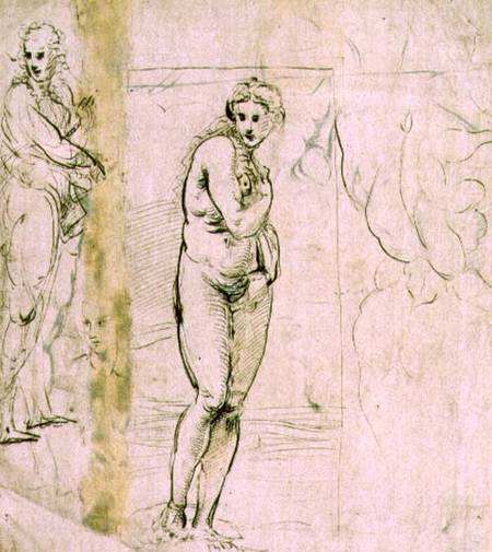 Study of Venus (pen & ink) od (Raffael) Raffaello Santi