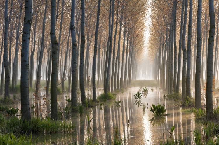Rains of Spring od Raffaele Spettoli