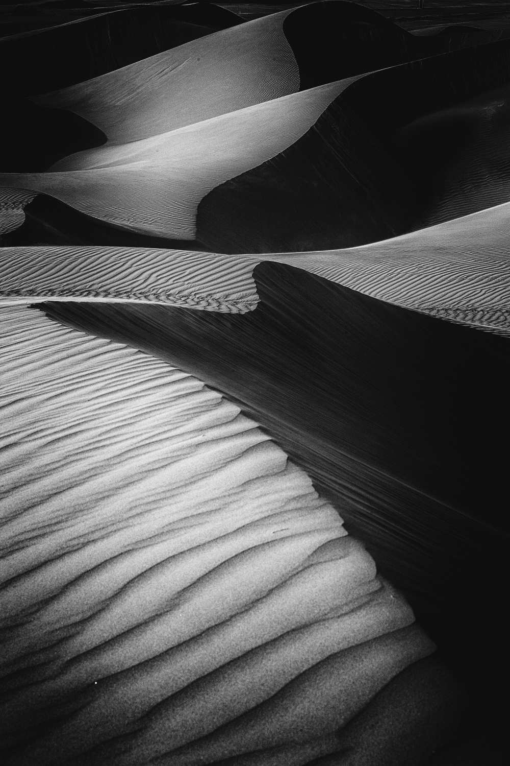 Desert light od Rami Al Adwan
