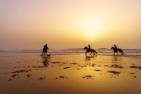 Sunset silhouette of horses and riders, beach of Essaouira