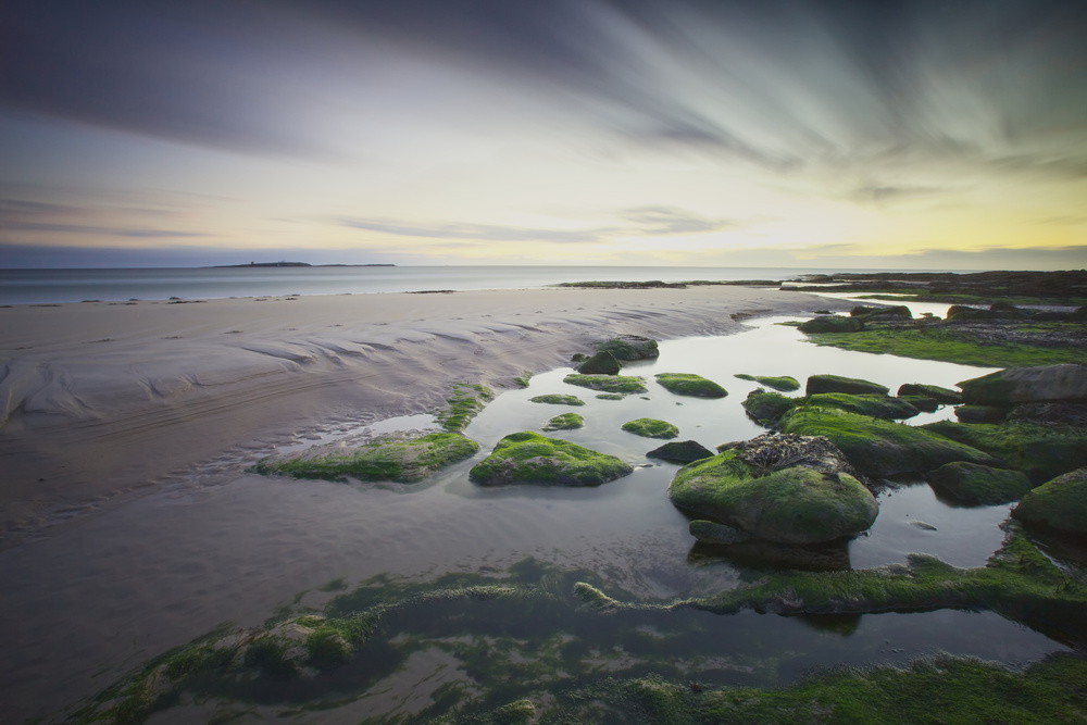 Dawn over Seahouses Beach od Ray Cooper