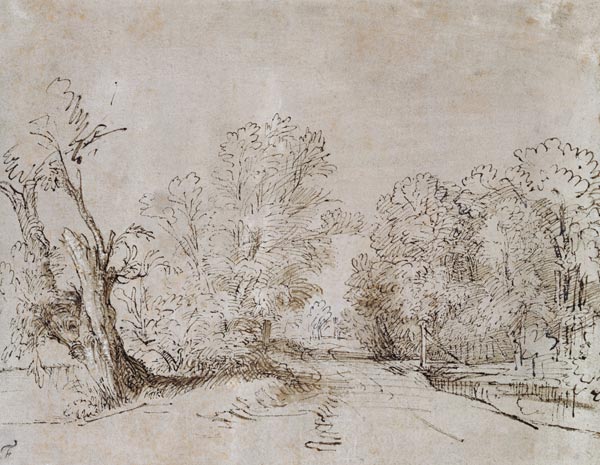 A Wooded Road od Rembrandt van Rijn