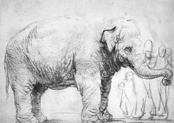 Ein Elefant od Rembrandt van Rijn